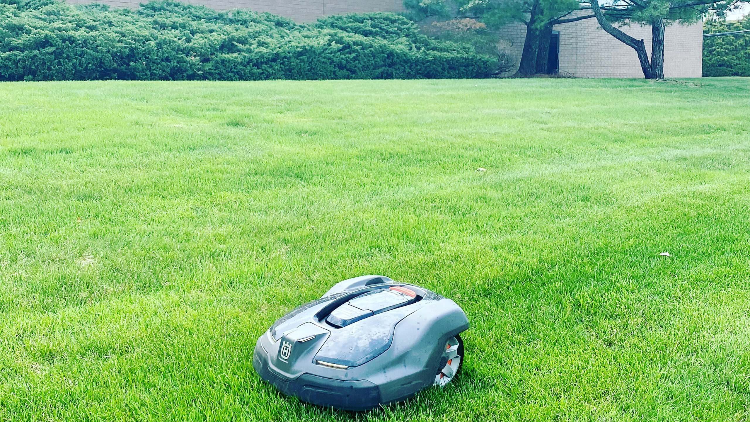 Commercial Robotic Mowing